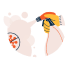 Sanitizing Protocols